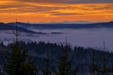  Sumava dağında gün batımı. Sumava Ulusal Parkı 'nda soğuk bir sabah, sisli ve gürültülü tepeler, Çek manzarası sisli bir manzara..