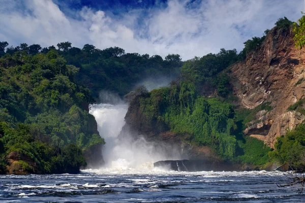 Murchison Falls Vízesés Kyoga Albert Között Victoria Níluson Ugandában Afrika — Stock Fotó