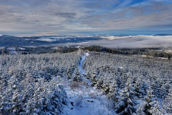 Tjeckiska Vintern Boletice Naturområde Utsikt Från Knizeci Stolec Kulle Sumava — Stockfoto