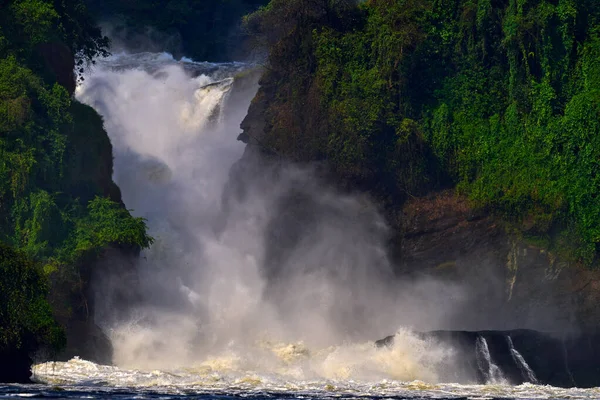 Murchison Falls Vízesés Kyoga Albert Között Victoria Níluson Ugandában Afrika — Stock Fotó
