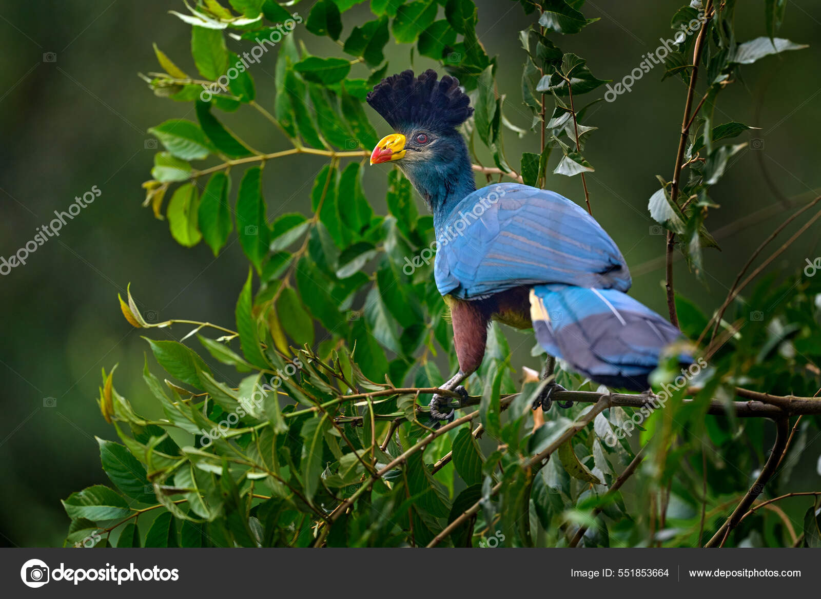 Джеха жанындағы Баксандағы порно видео