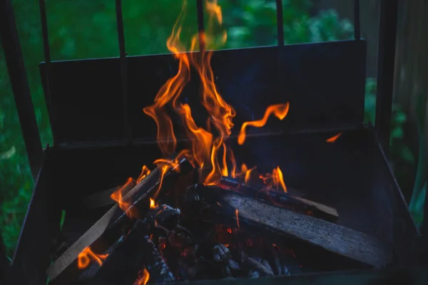 Karanlıkta barbeküde yangın. Yakacak odun. Yazın doğada dinlenmek. Bahçede yemek pişirmek.