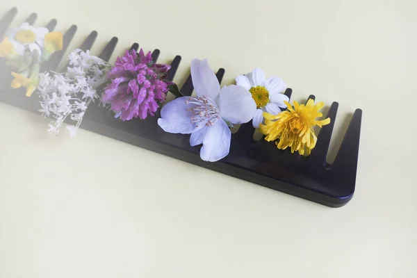 Pente Preto Para Cabelos Com Flores Fundo Bege Conceito Natural — Fotografia de Stock