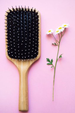 Pembe arka planda papatya dallı ahşap tarak. Saç bakımı için kuaför aletleri, doğal saç ürünleri. Kuaförde şenlik ve promosyon günleri