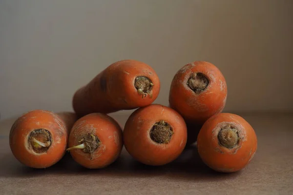 Carrot on a beige background. Rural style
