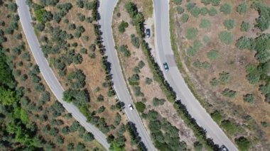Viraj Yolu. Ormandan geçen Idyllic viraj yolu.