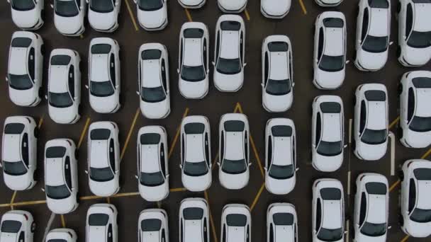 在港口内排着供进出口的新汽车的空中视图 — 图库视频影像