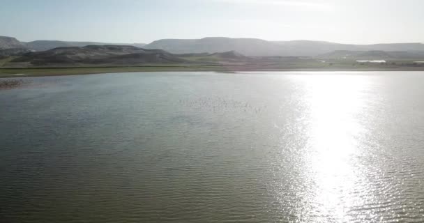 Flygande Fåglar Kus Cenneti Turkiska För Fågelparadiset Naturreservat Nallihan Stad — Stockvideo