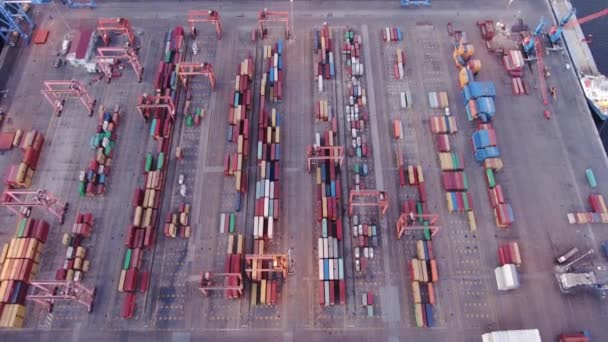 从空中看一个集装箱港口 美利坚合众国 — 图库视频影像
