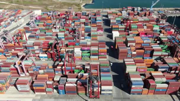 Πλοίο Εμπορευματοκιβωτίων Στην Εξαγωγική Και Επιχειρησιακή Εφοδιαστική Γερανό Εμπορικό Λιμάνι — Αρχείο Βίντεο