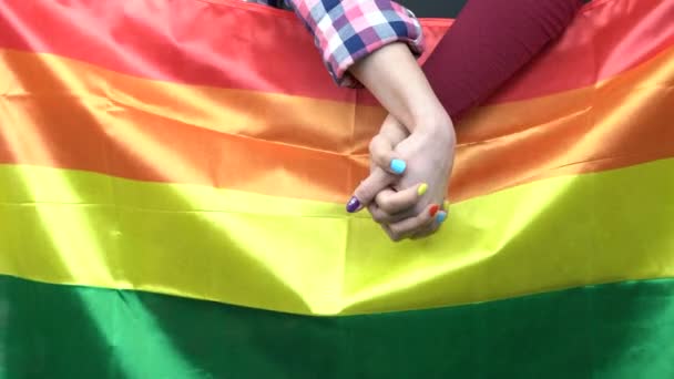 Dos Mujeres Joven Pareja Homosexual Por Bandera Del Arco Iris — Vídeo de stock