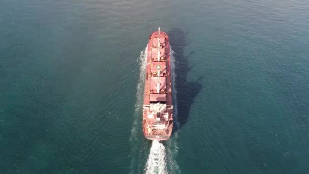 Navire Cargo Import Export Business Logistique Logistique Transport Porte Conteneurs — Video