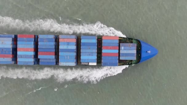 Kargo Gemisi Ithalat Ticari Lojistik Lojistik Uluslararası Konteyner Gemisinin Açık — Stok video