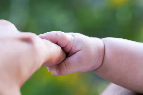 Fadern Håller Barnets Hand Far Och Barn Händer Familjebegreppet — Stockfoto