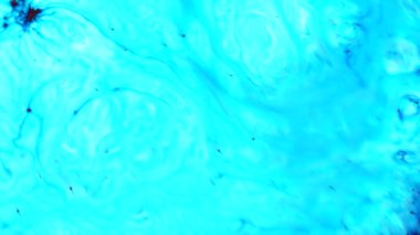 Arka plan olarak kullanmak için akrilik karışımının yakın plan soyut rengi. Mermer desenli akrilik doku, mavi mermer arkaplan 