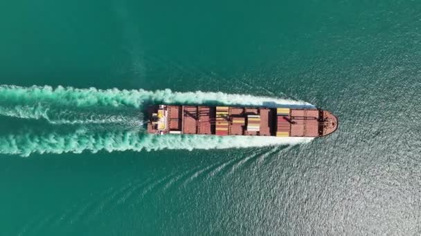 Aerial Shot Container Ship Ocean — Stock Video