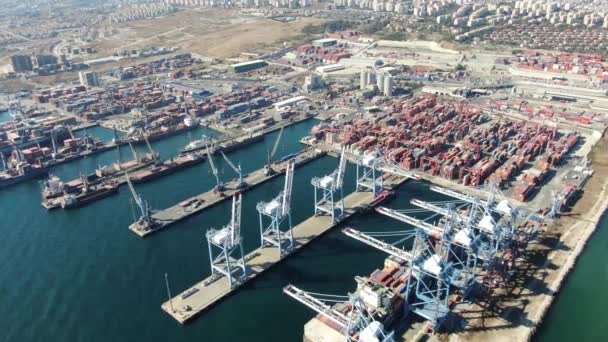 具有集装箱港的工业港口 在哪里是航运的一部分 — 图库视频影像