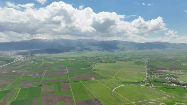Superfície Montanhosa Planalto Montanha Coberto Com Grama Floresta Vista Drone — Vídeo de Stock