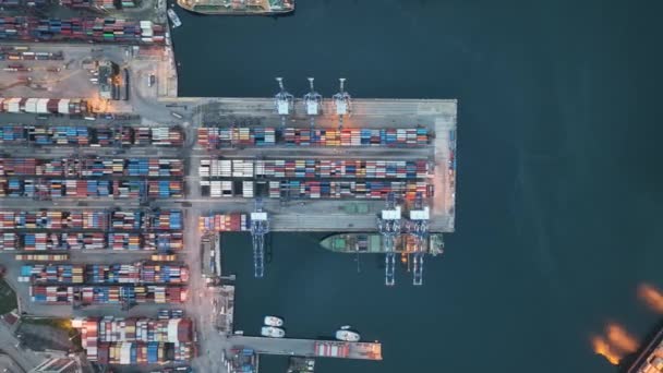 航空ビュー海上輸送の一部であるコンテナポート付き工業港 — ストック動画