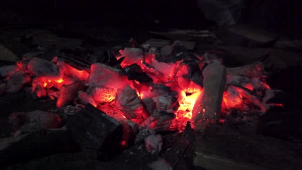 Vivid Smoldered Firewoods Burned Fire Close Atmospheric Warm Background Orange — Stock Video