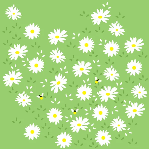 Fondo Patrón Sin Costura Flor Daisy Seamless Pattern Patrón Sin — Archivo Imágenes Vectoriales