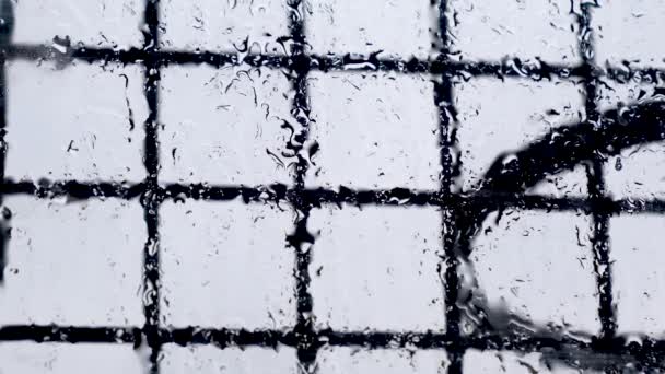Picături Ploaie Curgând Suprafața Ferestrei Ploaie Grea Vară Afară Vânt — Videoclip de stoc
