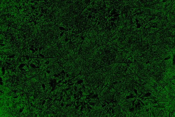 Green Beautiful Abstract Background Artistic Stylized Texture Banner Top View — Stock Photo, Image