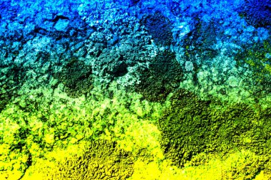 Arka plandaki kaya duvarında Ukrayna bayrağı