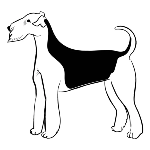 Chien Terrier Airedale Isolé Sur Fond Blanc Croquis Vectoriel Race — Image vectorielle