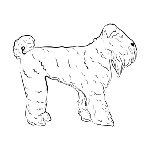 Cão Terrier Russo Preto Isolado Fundo Branco Desenhado Mão Cão —  Vetores de Stock