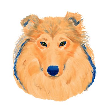 Collie köpek kafası suluboya klipsi.