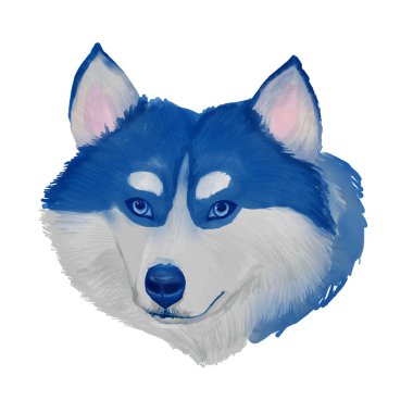 Sibirya Husky köpeği suluboya klip başkanı.