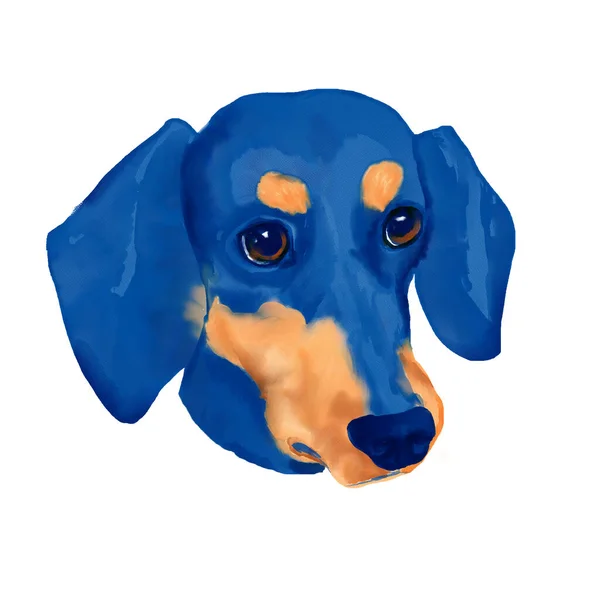 Дахшундська Собака Голова Акварельний Кліпарт — стокове фото