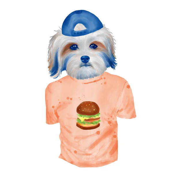 穿着T恤 头戴棒球帽 头戴水彩旗的祖琴犬 — 图库照片