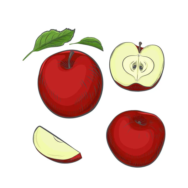 Roter Apfel Isoliert Auf Weißem Hintergrund — Stockvektor