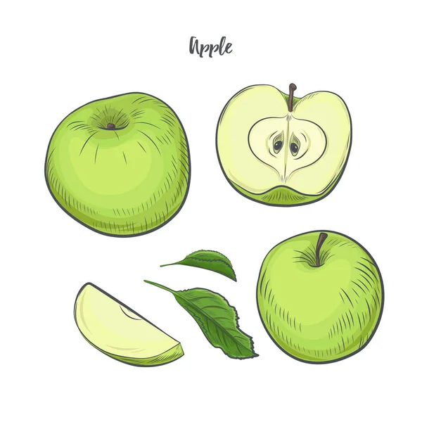 Зелене Яблуко Ізольоване Білому Тлі — стоковий вектор
