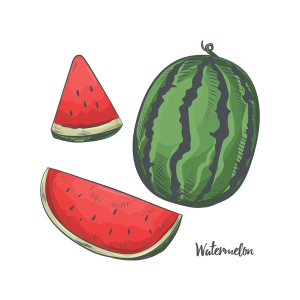 Watermelon Clipart Isolated White Background — Stock Vector