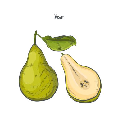 Armut tırnak parçası beyaz arkaplanda izole.