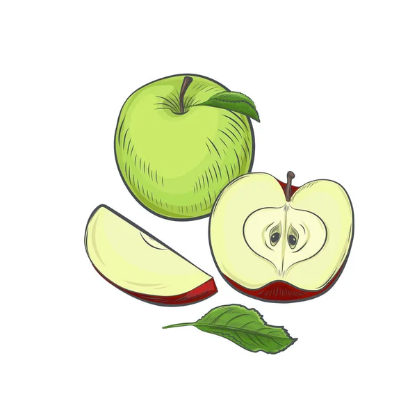 Grüner Apfel Isoliert Auf Weißem Hintergrund — Stockvektor