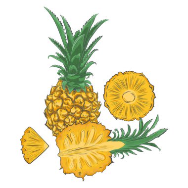 El çizimi ananas beyaz arkaplanda izole.