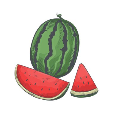 Beyaz arka plan üzerinde izole çizilmiş karpuz el.