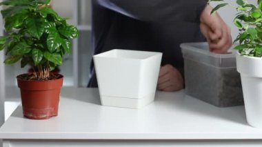 Ev bitkileri prosedürleri ve kapalı alandaki bitkilerle ilgilenmek için aletler naklediliyor. Kanalizasyon. Toprak