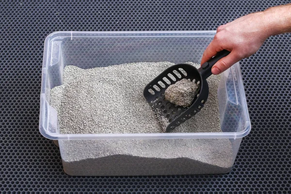 O homem limpa a caixa de areia. A mão segura uma colher com caroço. Enchimento de aperto. — Fotografia de Stock