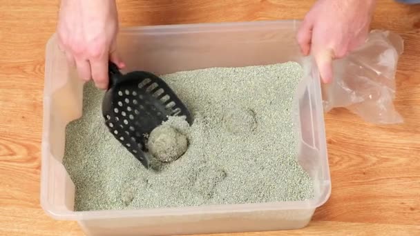 The man cleans the litter box. Hand holds a scoop with lump. Clumping filler. — Video Stock
