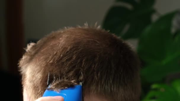 Ein Mann bekommt zu Hause einen Haarschnitt mit einem Elektroschneider. Eigenheimhaarschnitt. Ersparnis beim Friseur. — Stockvideo