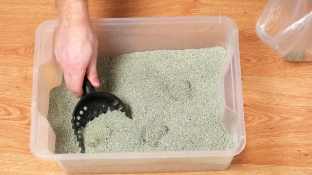O homem limpa a caixa de areia. A mão segura uma colher com caroço. Enchimento de aperto. — Vídeo de Stock