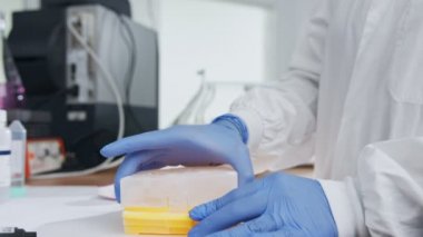 Donmuş örnekleri inceleyen bilimadamı derin dondurucuları laboratuvardan çıkarıyor.