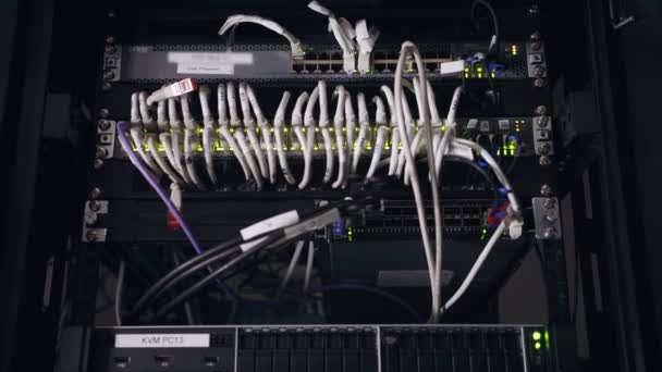 Gros plan des serveurs de données avec des câbles Ethernet et des lumières de disque dur clignotant — Video