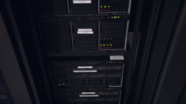 Primer plano de los servidores de datos con cables Ethernet y luces de disco duro parpadeantes — Vídeos de Stock