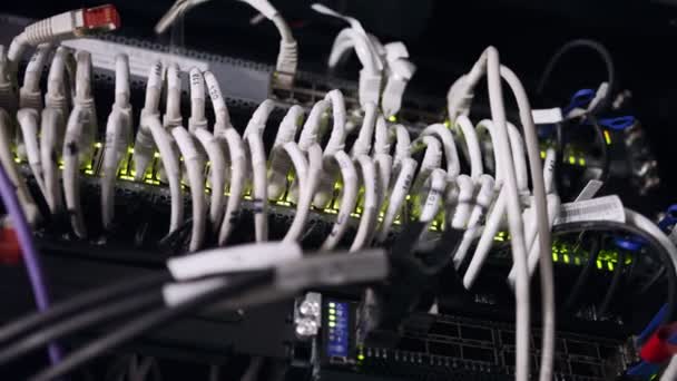 Крупный план серверов данных с кабелями Ethernet и мигающими огнями жесткого диска — стоковое видео
